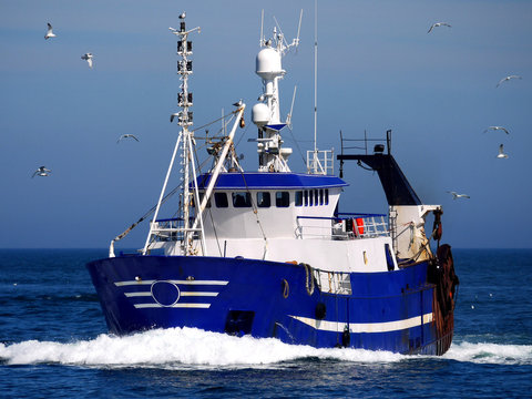Fishing vessel underway at speed to discharge fish at market.