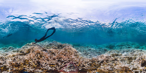 360 of snorkeler diving coral reef in American Samoa
