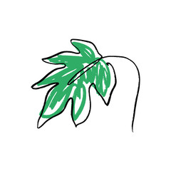 Stylized monstera leaf one line art. Contour simple drawing