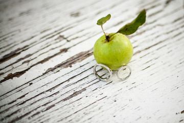 die Liebe geht durch den Apfel, Trauringe