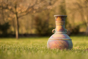 vase on green grass