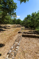 Santo Tirso Chester of Monte Padrao