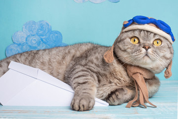 Naklejka premium Lying cute cat in aviator hat with glasses and a scarf, with an airplane. Funny and funny cat