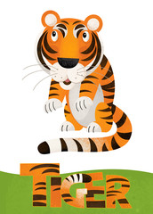 Obraz na płótnie Canvas cartoon scene with tiger card on white background with name of animal - illustration for children
