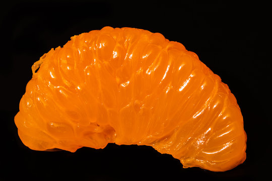 Orange Segment 