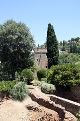 Fototapeta premium In the architectural and Park complex of Alhambra in Granada
