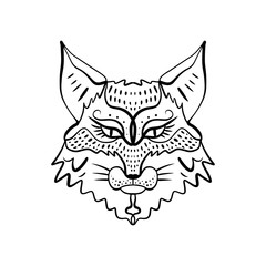 Patterned head of the cat, animal face on white background. Totem, boho style, flash tattoo design