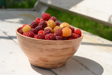photo plate with raspberry,ladybug,summertime,ceramic