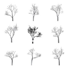 Set of tree silhouettes, hand drawn vector design elements