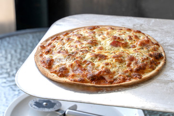 Hot homemade barbecue chicken pizza with onions and cheese.