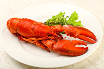Lobster