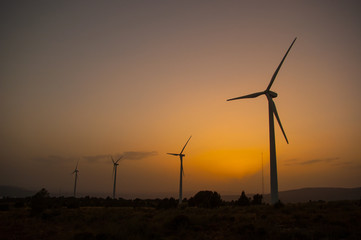Windmills at golden sunset