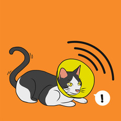 Cat with satellite dish cone cartoon illustration