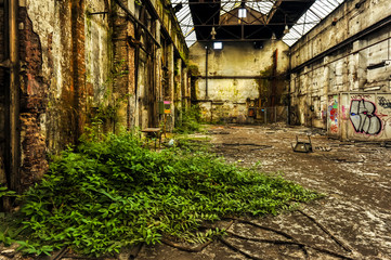 Fototapeta na wymiar Vegetation in a old abandoned industrial hall