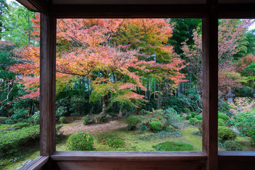 京都　宝泉院の紅葉