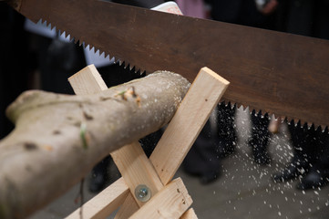 Cutting wood trunk with a rusty old saw on a wedding ritual