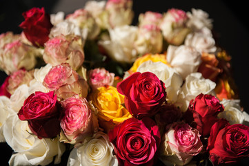 Roses in fading light