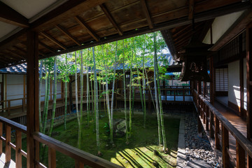 京都　妙顯寺（みょうけんじ）の竹の庭