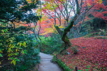 京都　詩仙堂の紅葉