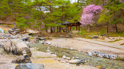 Obraz premium Sainokawara Park w Kusatsu Onsen, Gunma, Japonia