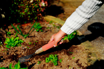 Shovels in the hands of children are gardening