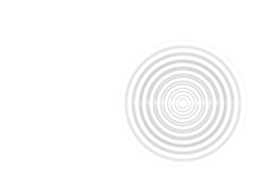 Fototapeta na wymiar Abstract gray rings sound waves oscillating on white background
