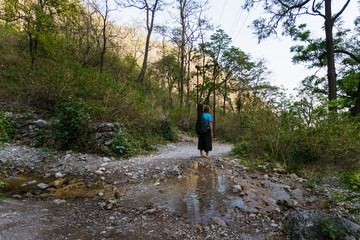 Musician guitar player in the woods.
