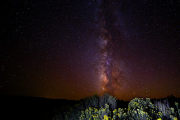 Milky Way and Sage Brush by Skip Weeks