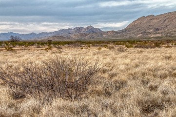 Big Bend National Park is located in Far South Texas on the Mexican Border