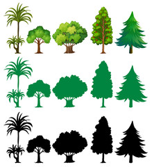 Set of different tree
