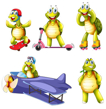 Set of turtle character