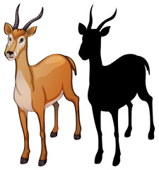 Set of gazelle design