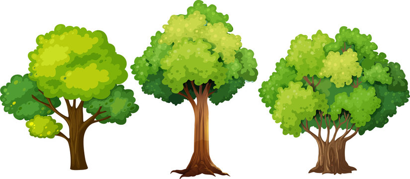 Clipart Spring Trees
