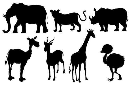 Set of silhouette exotic animals