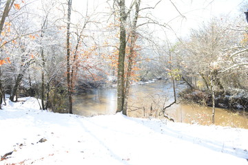 Snowy River Bank