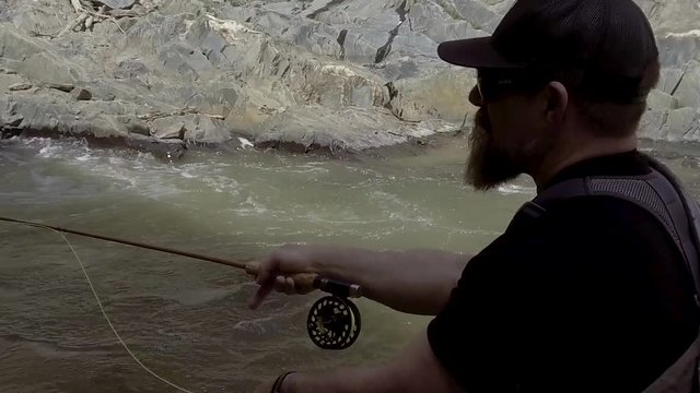 Fly fisherman strips line in Big Thompson River Colorado.