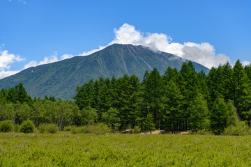 Fototapeta premium Odashirogahara i Mt.