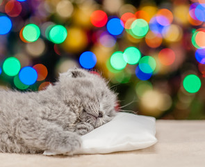 Cute gray kitten sleep on pillow with Christmas tree on background