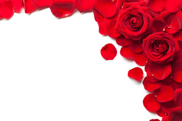 Rote Rosen und Rosenblätter auf weißem Hintergrund isoliert