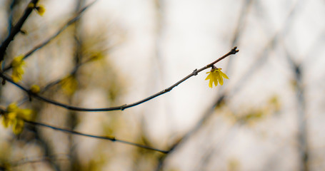 Captured in Hangzhou Xixi Wetland scenery