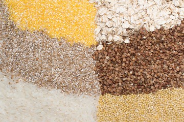 grains of rice, oat, corn, buckwheat, wheat, barley-corn 