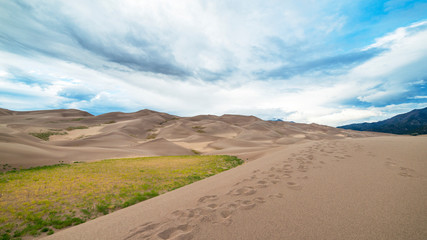 Fototapeta na wymiar Sand Dunes with Grass