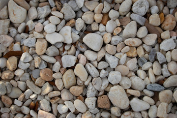 Marble Rock Background and Texture