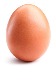 Egg isolated on white