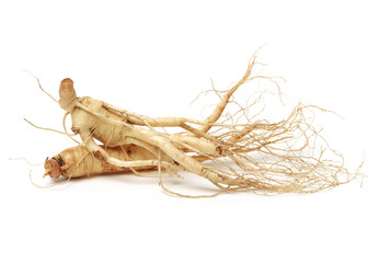 ginseng isolated on white background