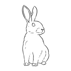Rabbit cute doodle hand drawn lineart sketch