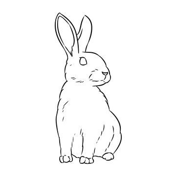 Rabbit cute doodle hand drawn lineart sketch