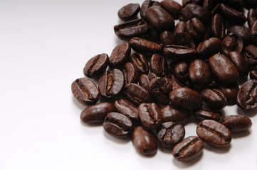 コーヒー豆　コーヒー　