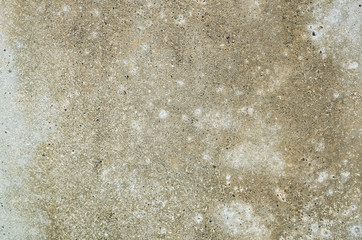 mildewed wall background