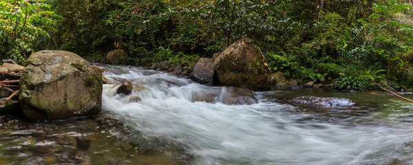 Nature landscape view of Deep forest clean river (image slightly long expo and motion blur)